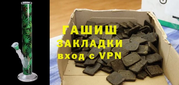 индика Алексин