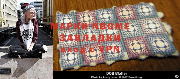 индика Алексин