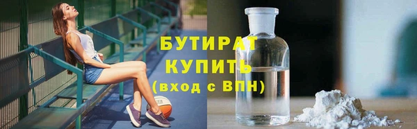 индика Алексин
