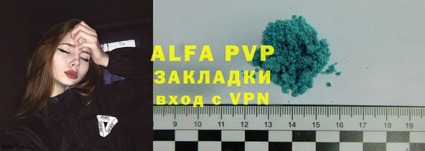 индика Алексин