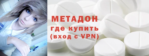 индика Алексин