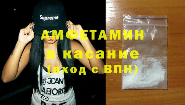 индика Алексин
