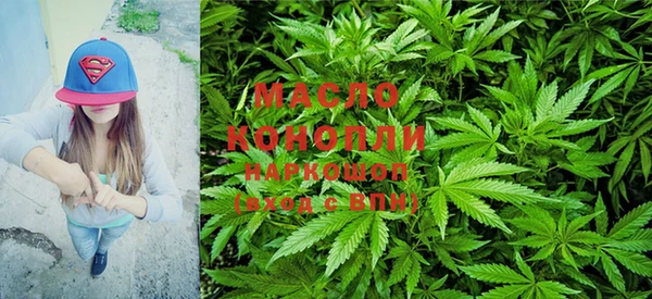 СК Михайлов