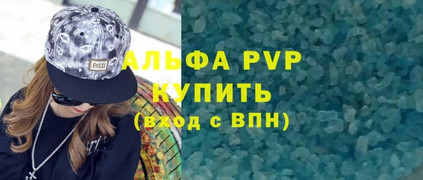 индика Алексин